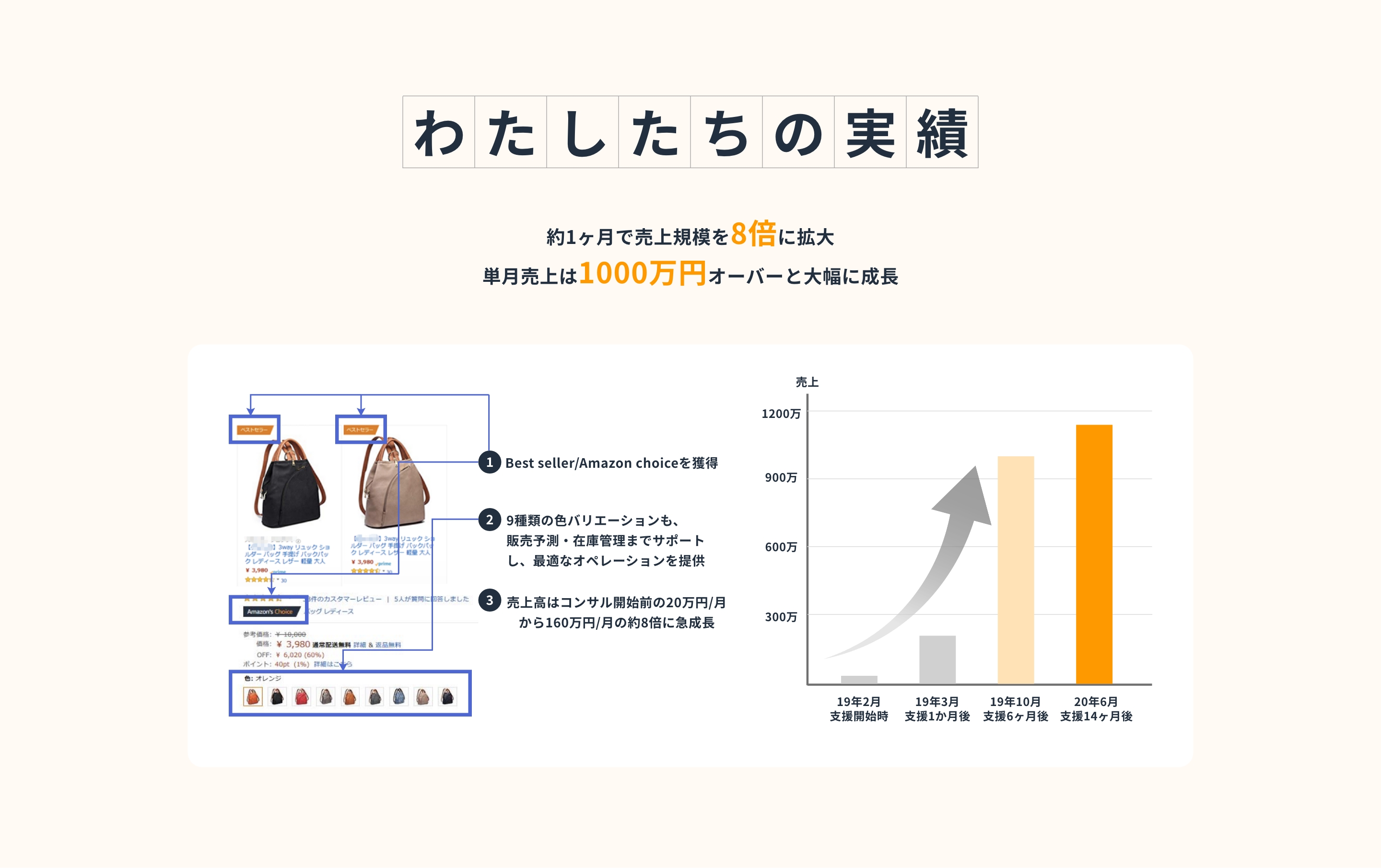 わたしたちの実績