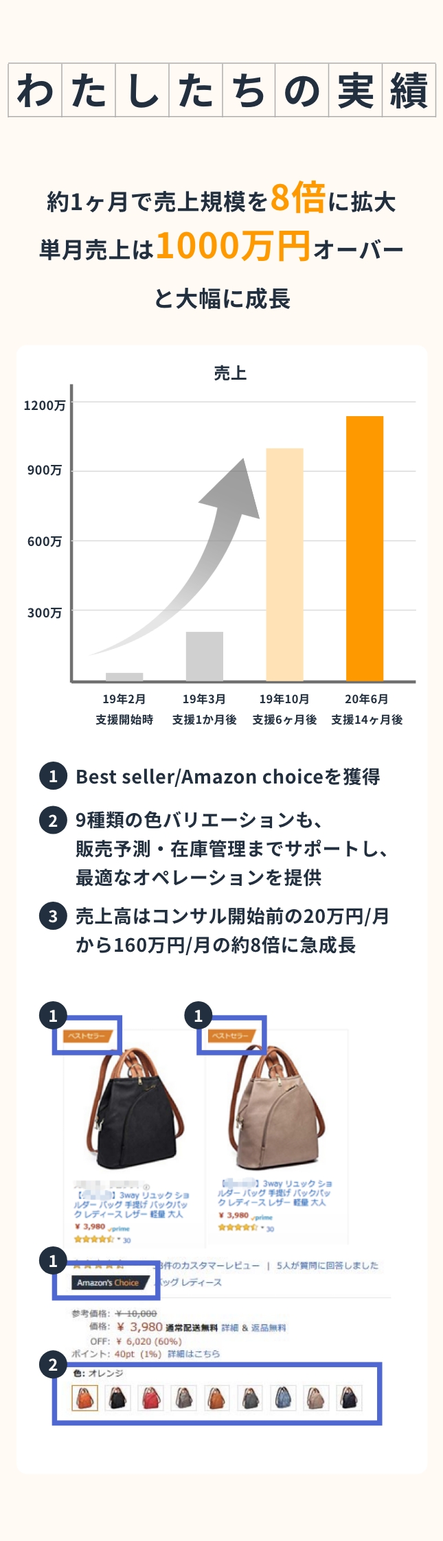 わたしたちの実績